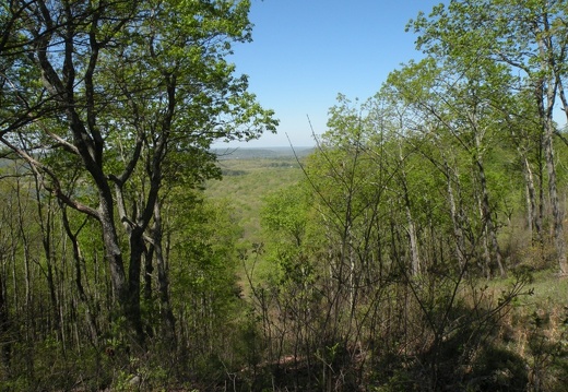 Lakeview Trail